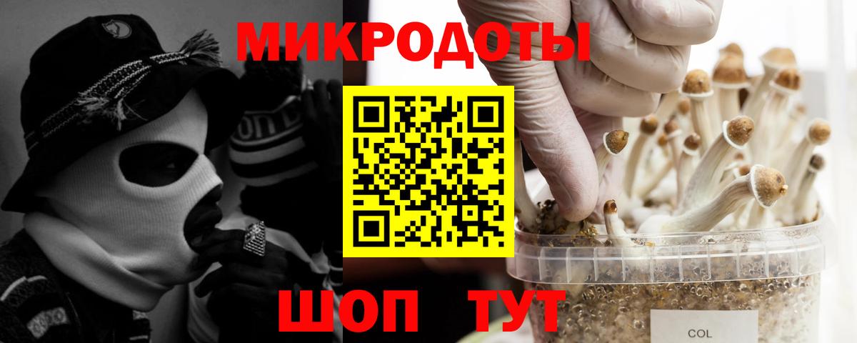 Псилоцибиновые грибы GOLDEN TEACHER Майский